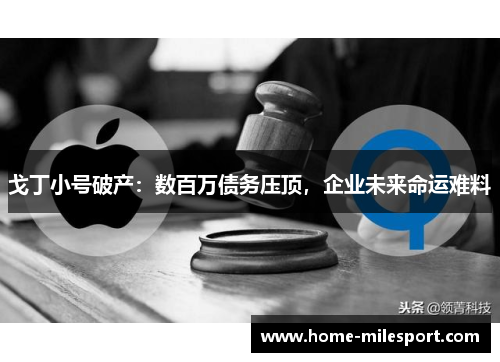 戈丁小号破产：数百万债务压顶，企业未来命运难料
